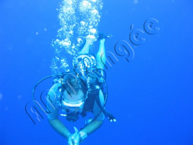 Descubrimiento y entrenamiento de buceo con AP Plongee 